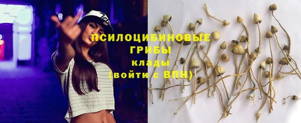 spice Ельня