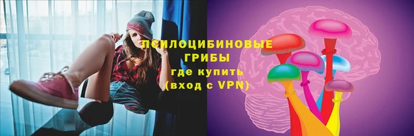 альфа пвп Елизово