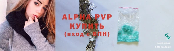 spice Ельня