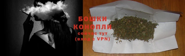 spice Ельня
