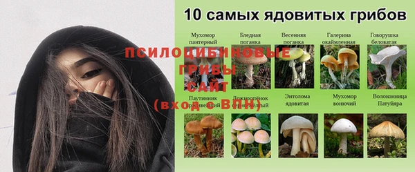 spice Ельня