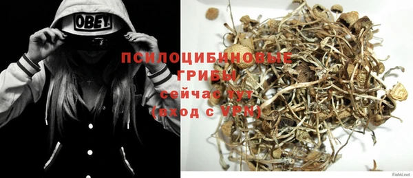 spice Ельня